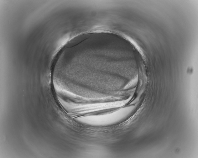 X0000093731461200711131026