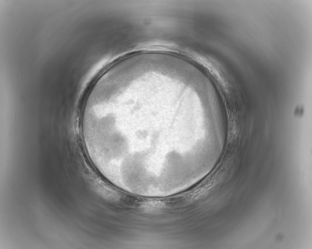 X0000093731462200711131026