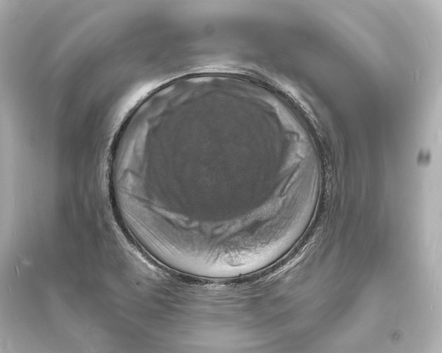 X0000093731463200711131026