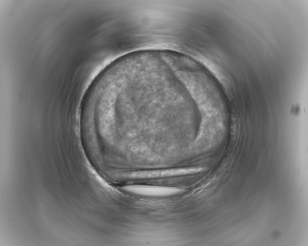 X0000093731468200711131026