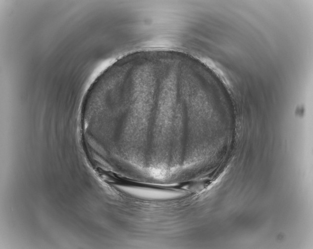 X0000093731469200711131026