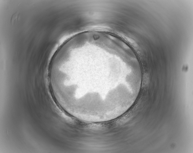 X0000093731470200711131026