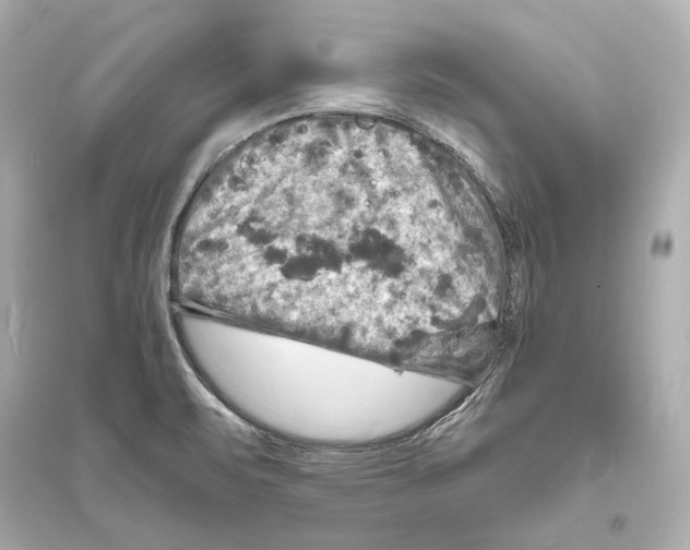 X0000093731471200711131026