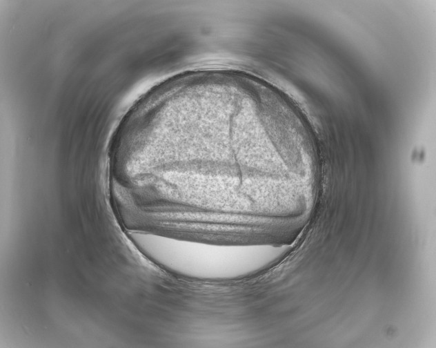 X0000093731472200711131026