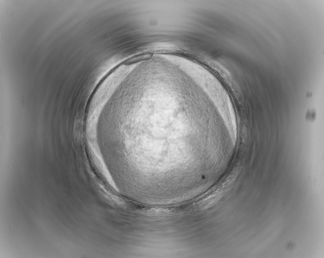 X0000093731473200711131026