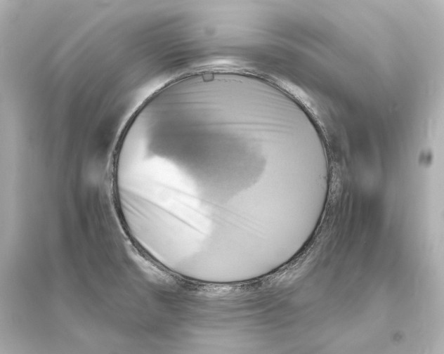 X0000093731474200711131026