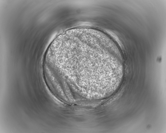 X0000093731475200711131026