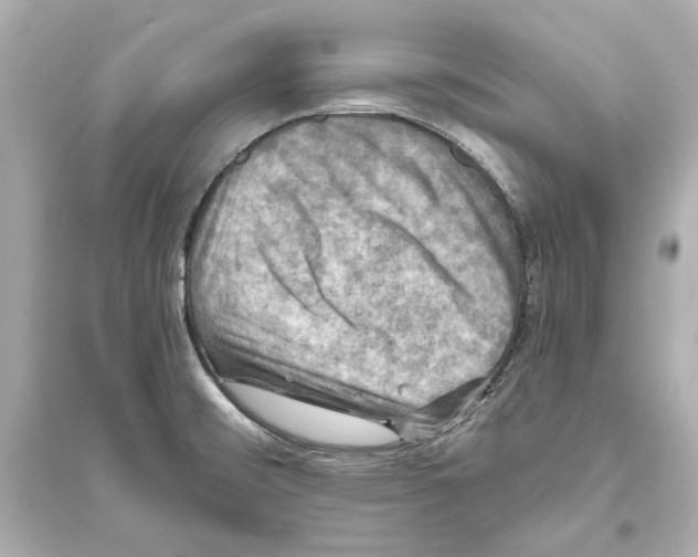 X0000093731476200711131026