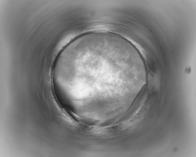 X0000093731477200711131026