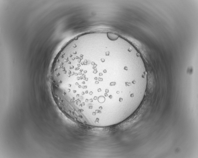 X0000093731478200711131026
