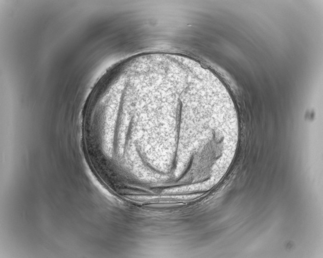 X0000093731479200711131026