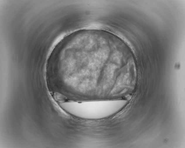 X0000093731480200711131026