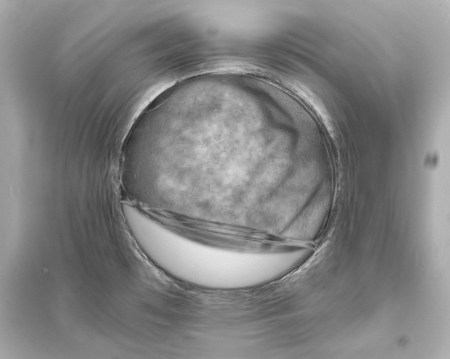 X0000093731481200711131026