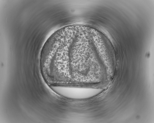 X0000093731483200711131026