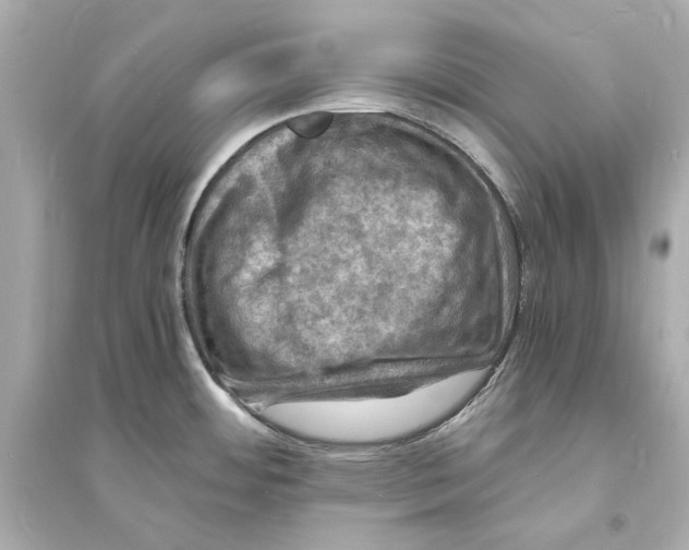 X0000093731484200711131026