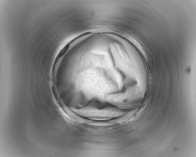 X0000093731485200711131026