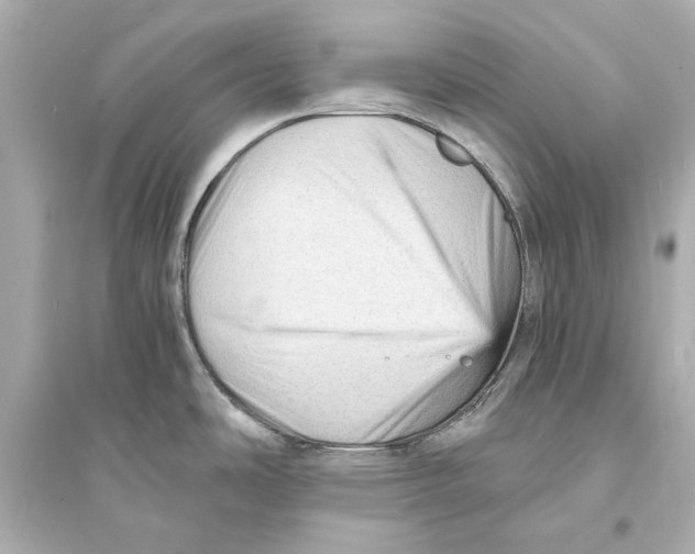 X0000093731486200711131026