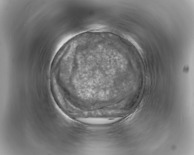 X0000093731487200711131026