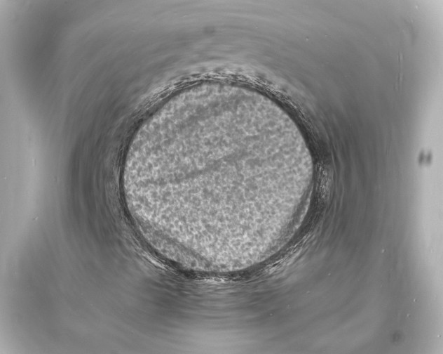 X0000093731489200711131025