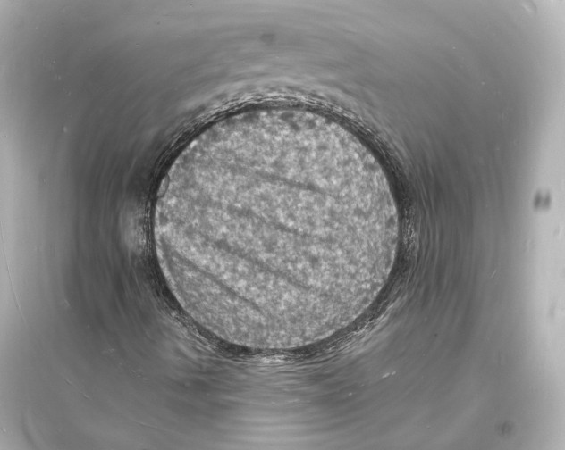 X0000093731490200711131025