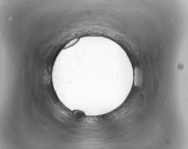 X0000093731491200711131025