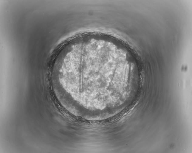 X0000093731494200711131025