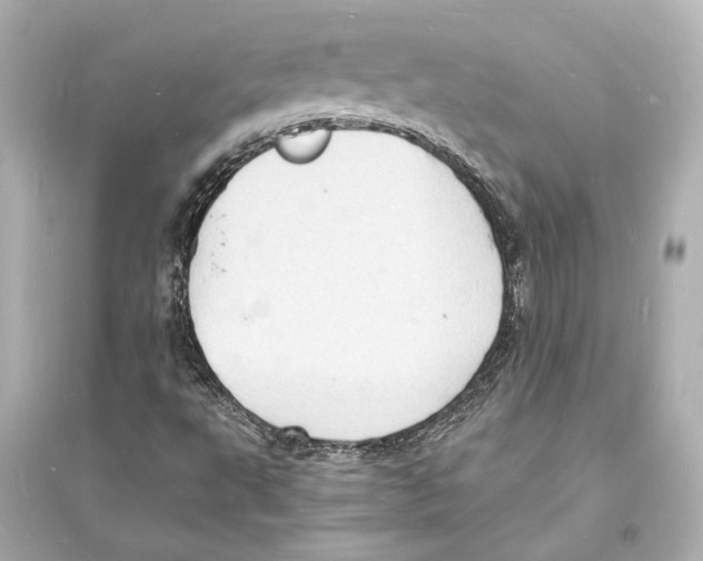 X0000093731495200711131025