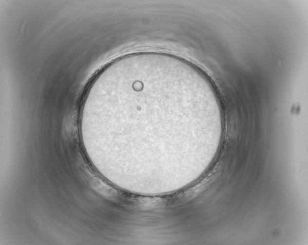 X0000093731498200711131025