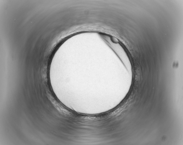 X0000093731499200711131025