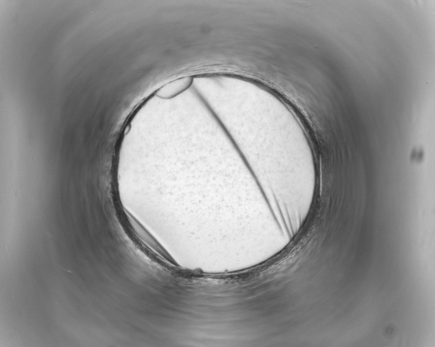 X0000093731500200711131025