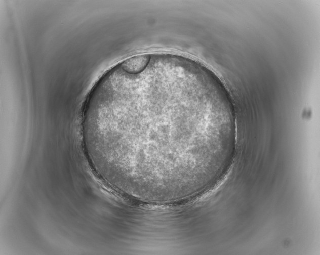 X0000093731501200711131025