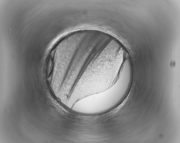 X0000093731502200711131025