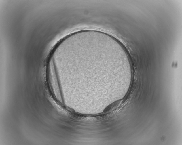 X0000093731503200711131025