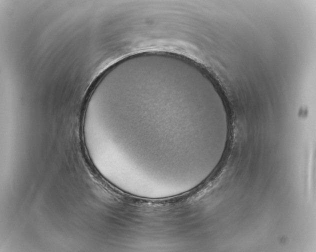 X0000093731505200711131025