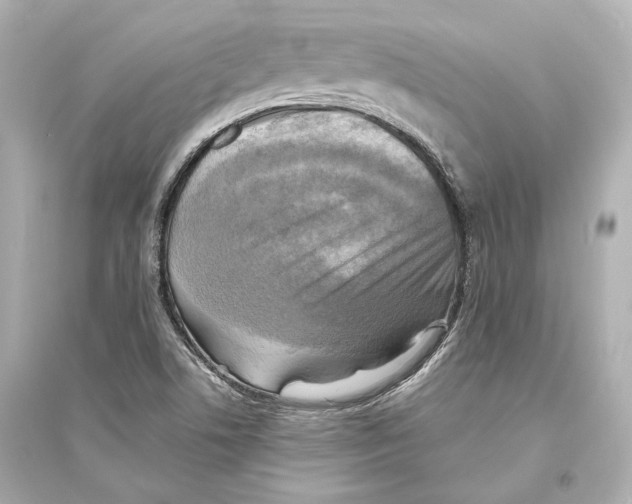 X0000093731506200711131025