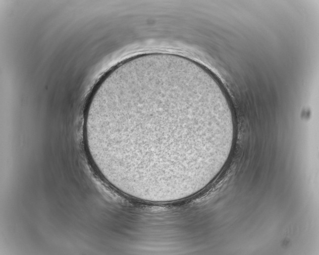 X0000093731507200711131025