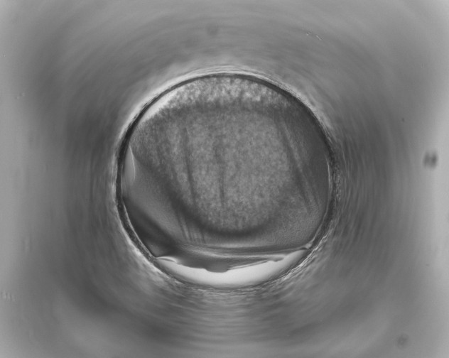 X0000093731508200711131025