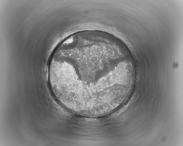 X0000093731509200711131025