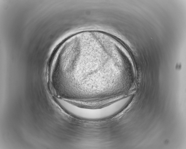 X0000093731510200711131025