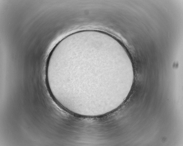 X0000093731512200711131025