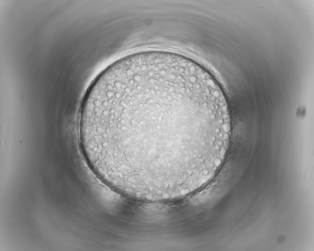 X0000093731514200711131025