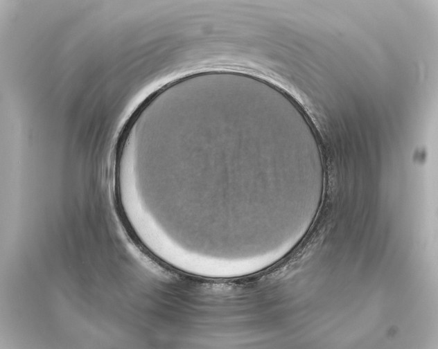 X0000093731515200711131025