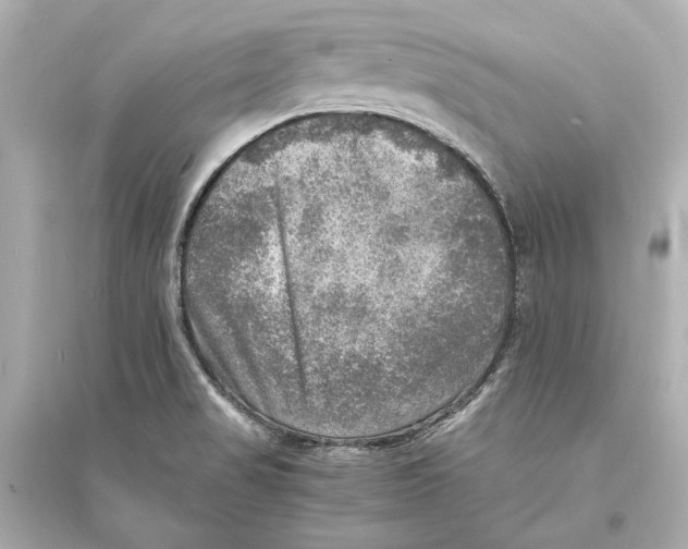 X0000093731517200711131025