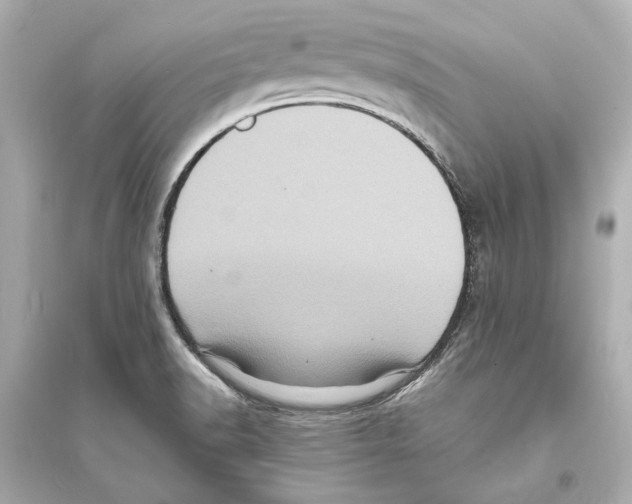 X0000093731518200711131025