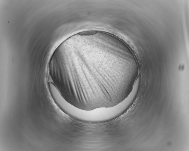 X0000093731520200711131025