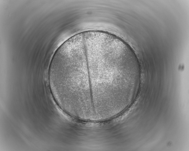 X0000093731521200711131025