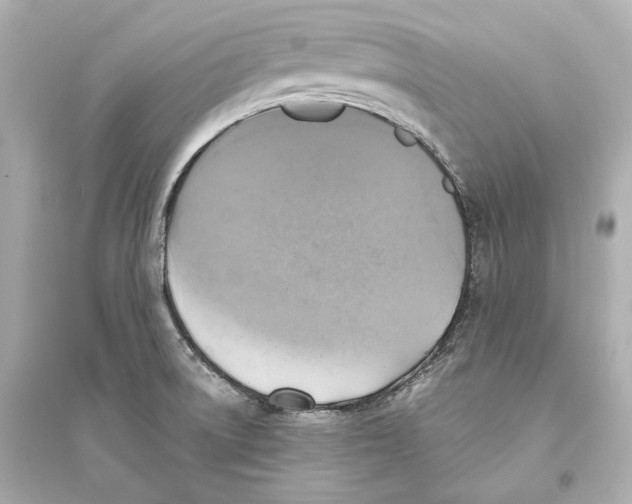 X0000093731522200711131025