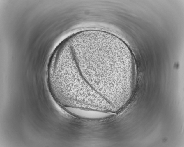 X0000093731523200711131025