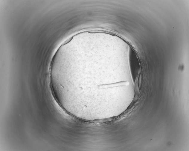 X0000093731524200711131025