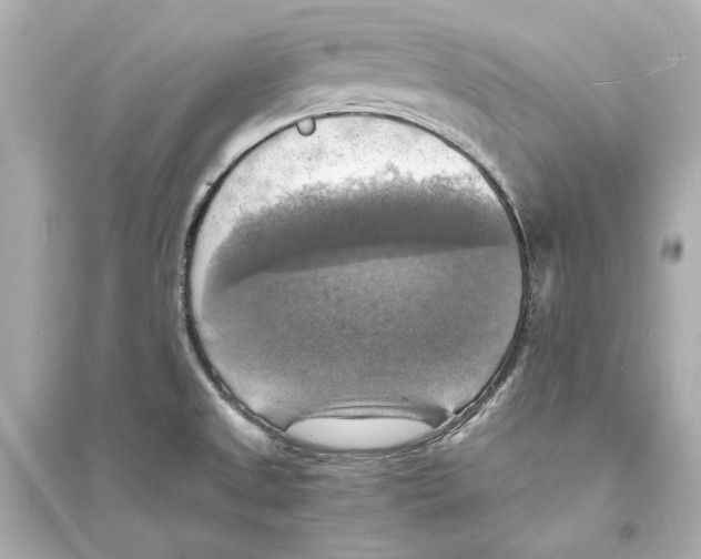 X0000093731525200711131025